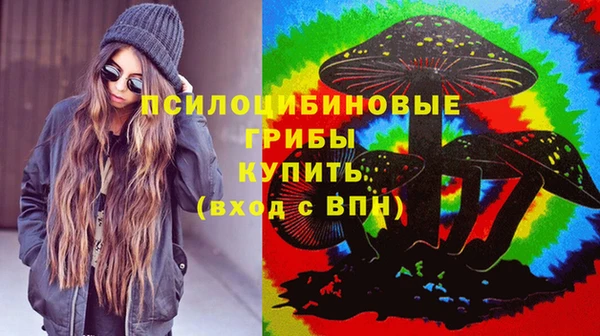 Альфа ПВП Протвино