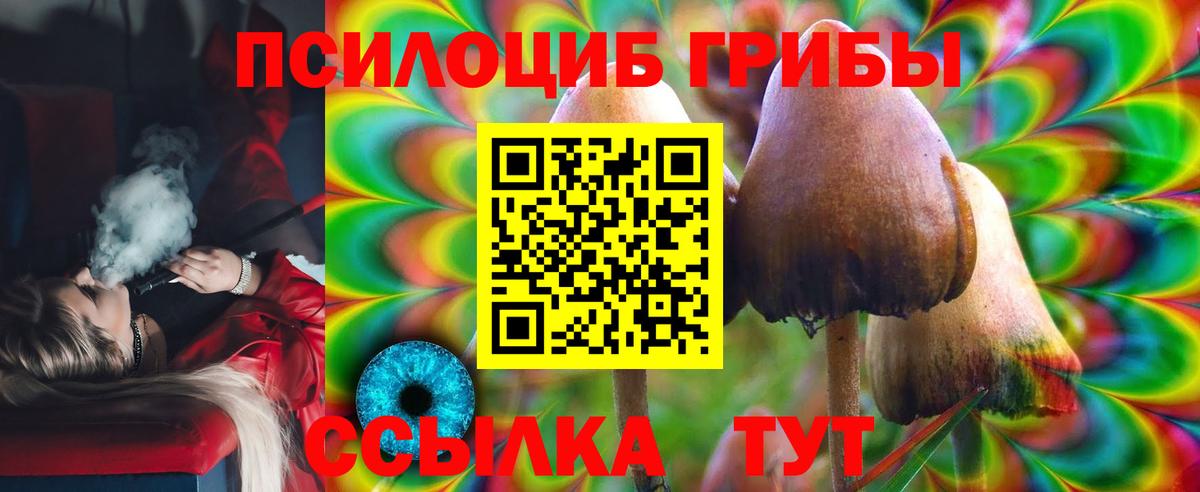 Калининград  Псилоцибиновые грибы мицелий  Галлюциногенные грибы мухоморы  Вход с VPN 